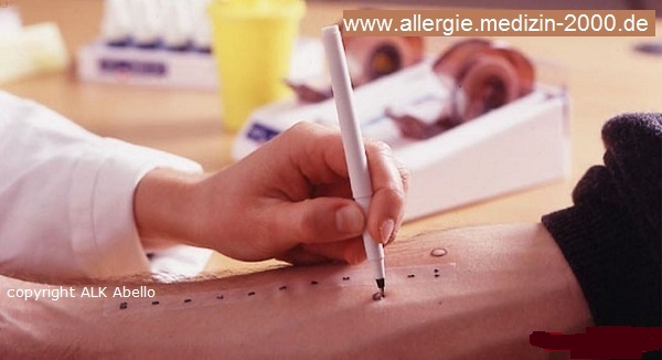 Info-Netzwerk Medizin 2000